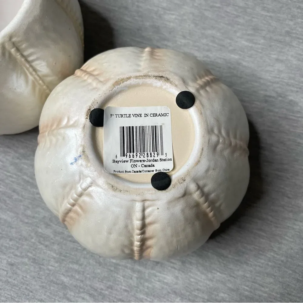 Target Biege 5” Round Pumpkin Ceramic Planter Pot 2 PCS. Set